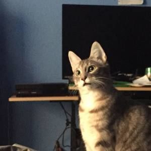 Meet your Posher, Julia